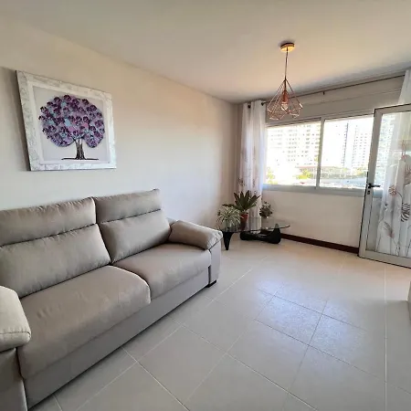 Seaview Paradise Hard Rock